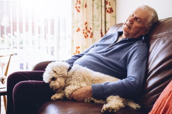 Un patient qui subit le sommeil excessif après un AVC dort paisiblement sur son canapé en compagnie de son chien.